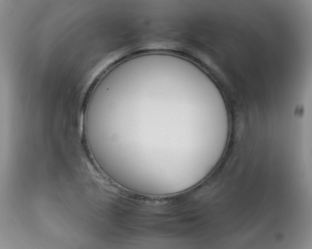 X0000112791221200908210930