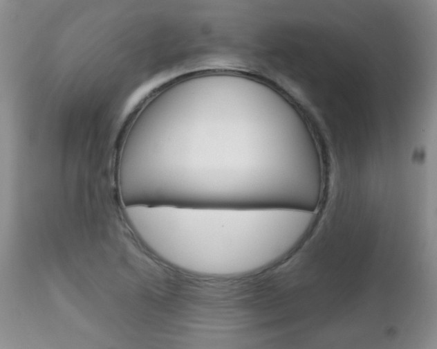 X0000112791222200908210930
