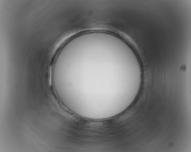 X0000112791223200908210930