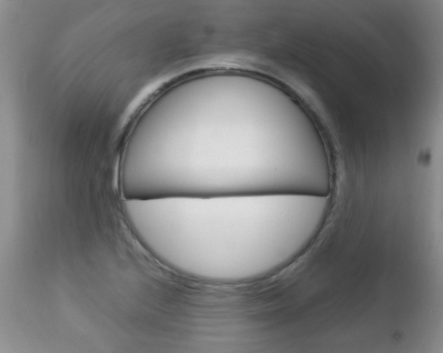 X0000112791224200908210930