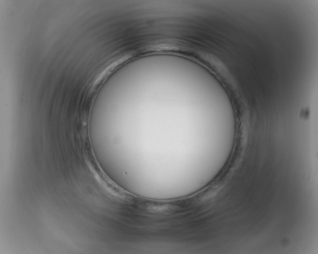 X0000112791225200908210930