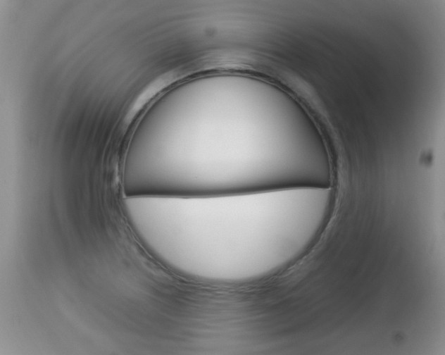 X0000112791226200908210930
