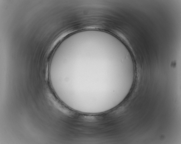 X0000112791227200908210930