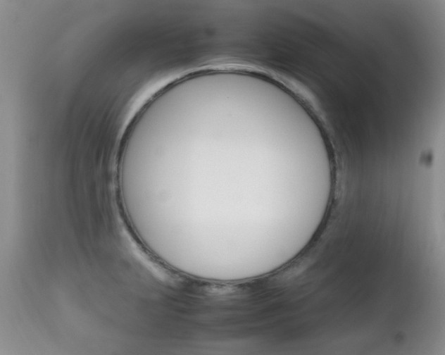 X0000112791231200908210930