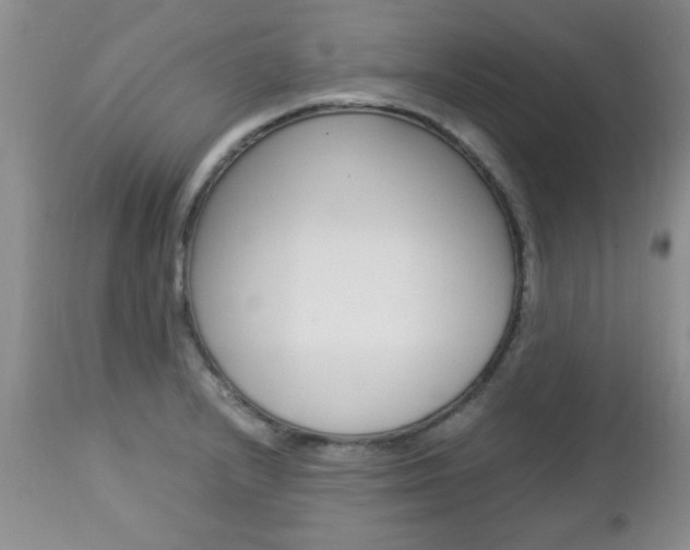 X0000112791232200908210930