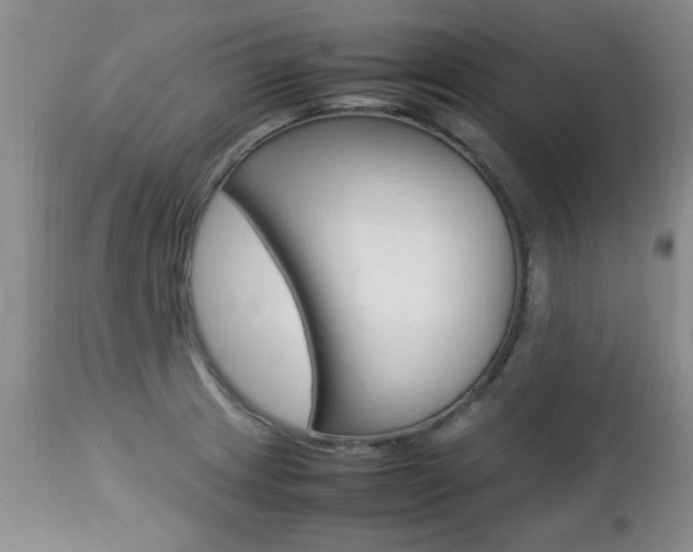 X0000112791233200908210930