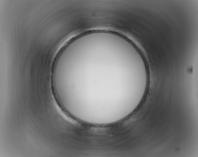 X0000112791237200908210930