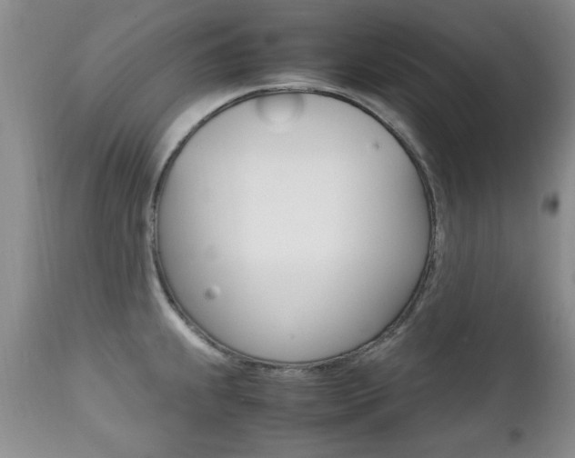 X0000112791239200908210930