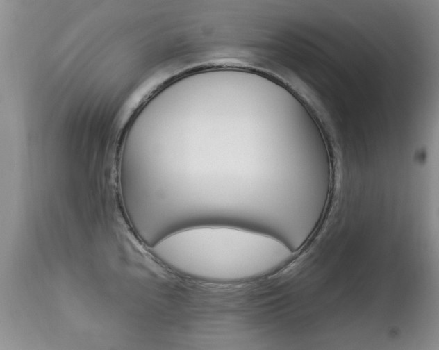 X0000112791240200908210930