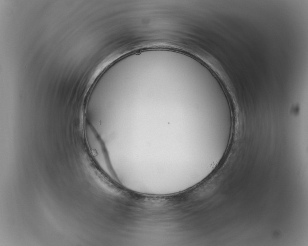 X0000112791242200908210930