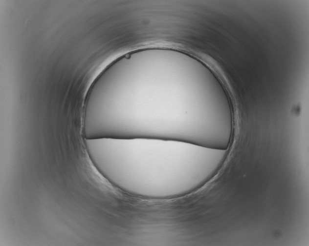 X0000112791244200908210930