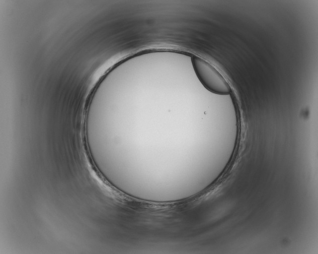 X0000112791245200908210931