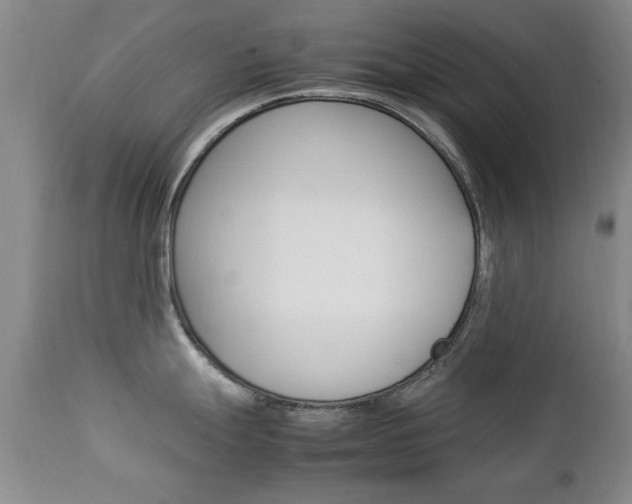 X0000112791247200908210931