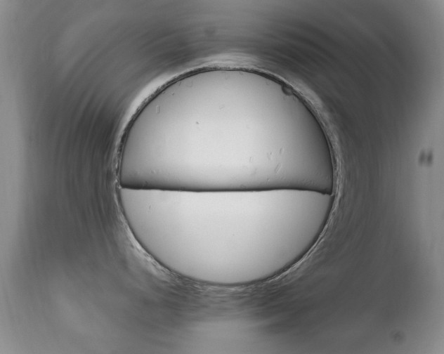 X0000112791248200908210931
