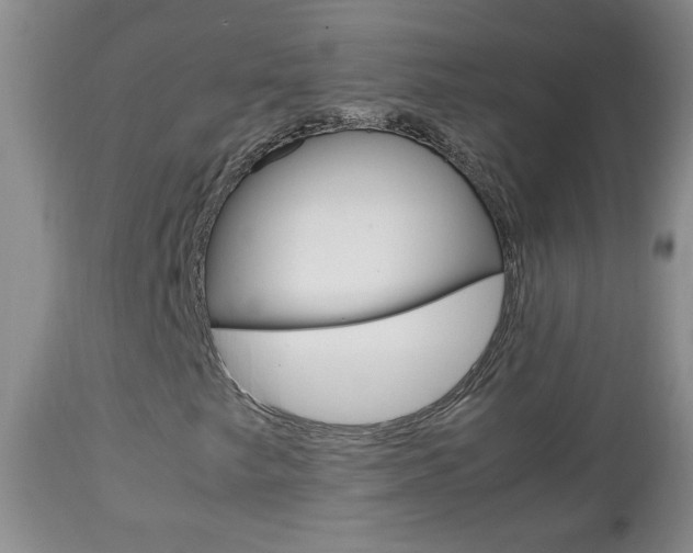 X0000112791249200908210930
