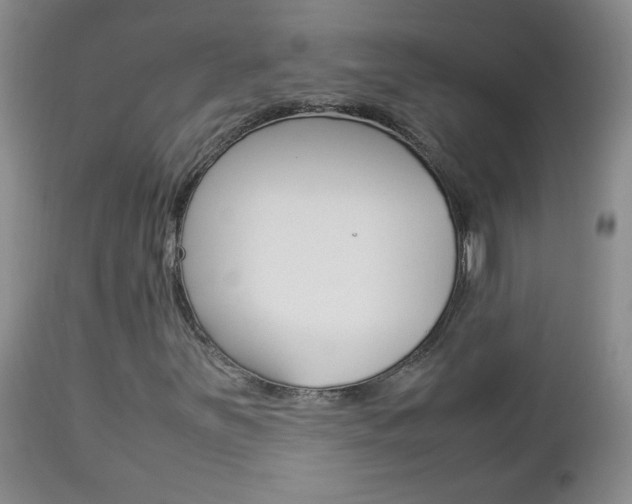 X0000112791251200908210930