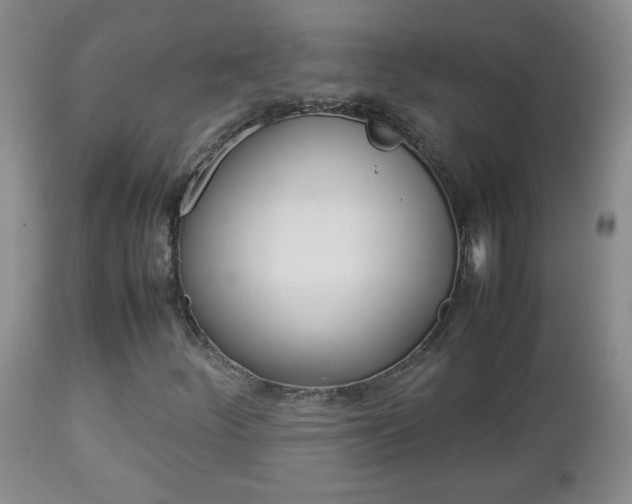 X0000112791252200908210930