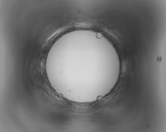 X0000112791254200908210930
