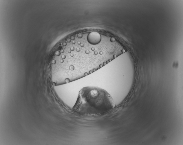 X0000112791255200908210930
