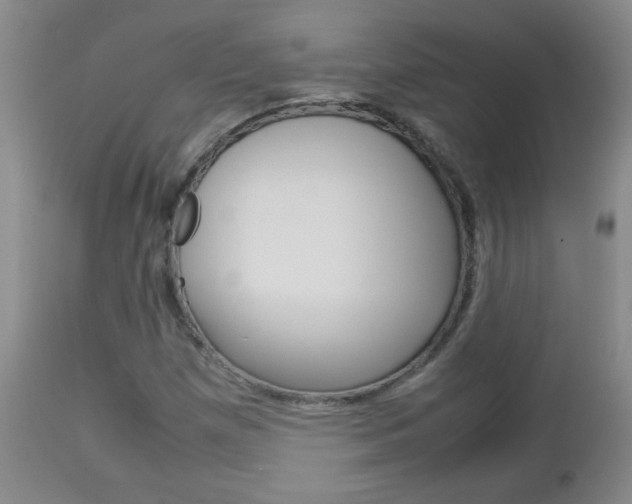 X0000112791257200908210930