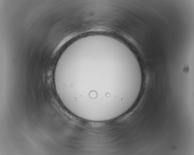 X0000112791258200908210930
