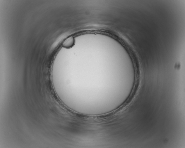X0000112791259200908210930