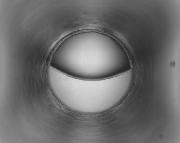 X0000112791260200908210930