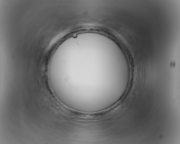 X0000112791261200908210930