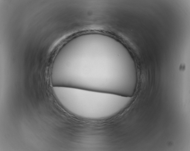 X0000112791262200908210930