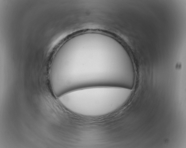 X0000112791263200908210930
