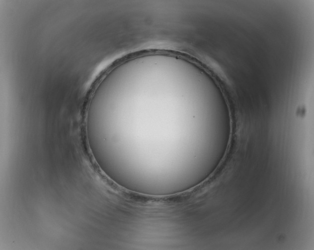 X0000112791264200908210930