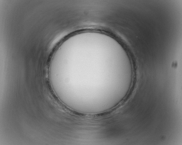 X0000112791267200908210929