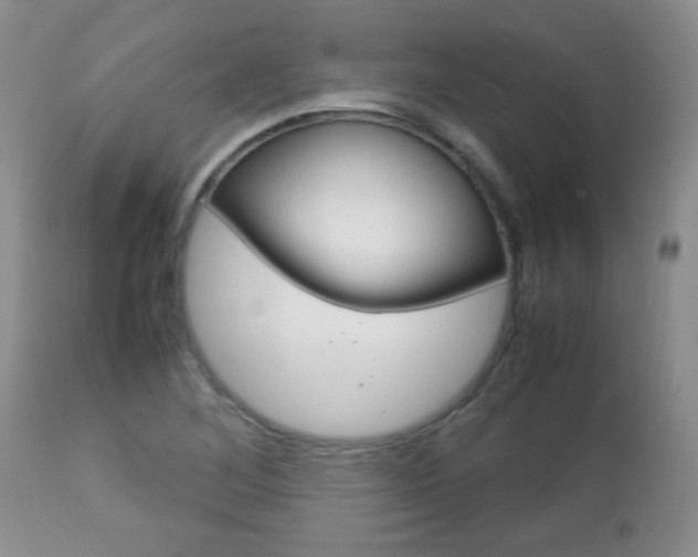 X0000112791268200908210929
