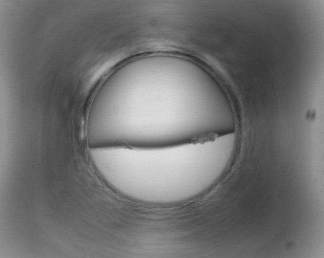 X0000112791269200908210929