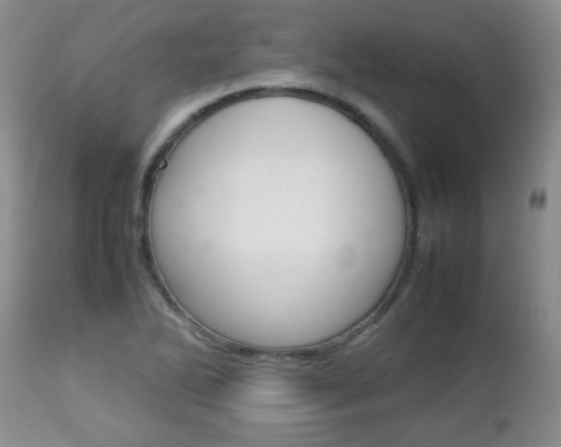 X0000112791270200908210929