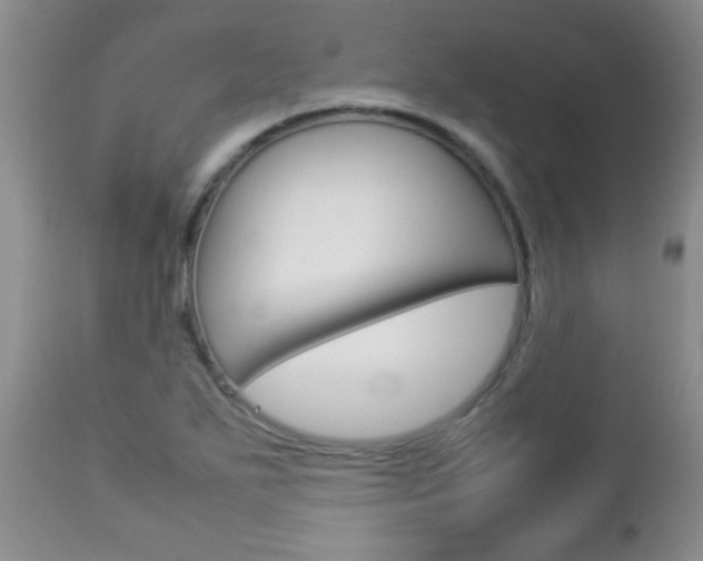 X0000112791271200908210929