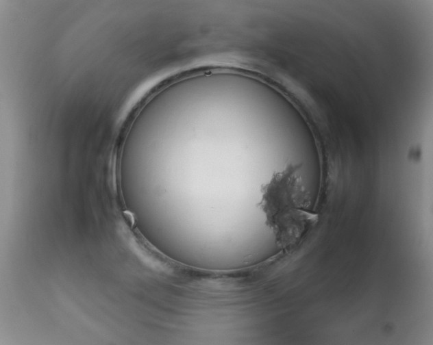 X0000112791272200908210929