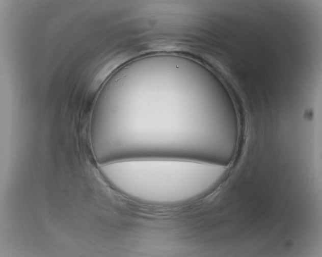 X0000112791273200908210929