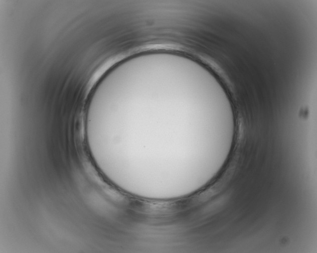 X0000112791274200908210929