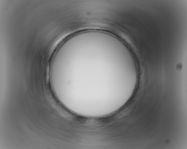 X0000112791275200908210929