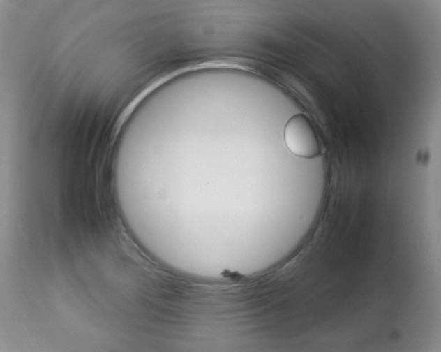 X0000112791276200908210929