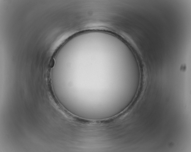 X0000112791277200908210929