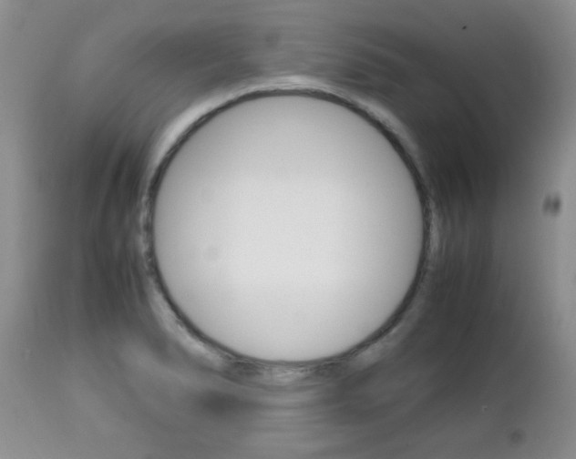 X0000112791278200908210929