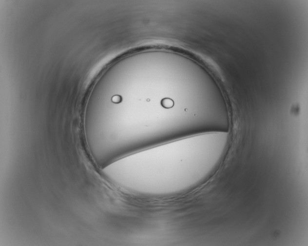 X0000112791279200908210929