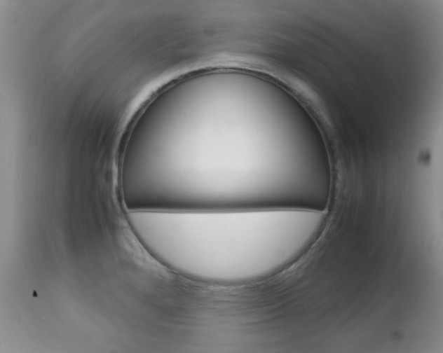 X0000112791280200908210929