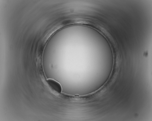 X0000112791281200908210929
