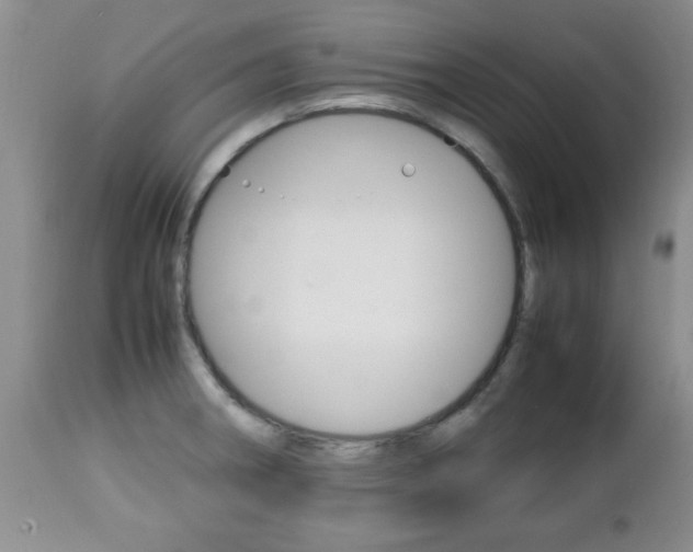 X0000112791282200908210929