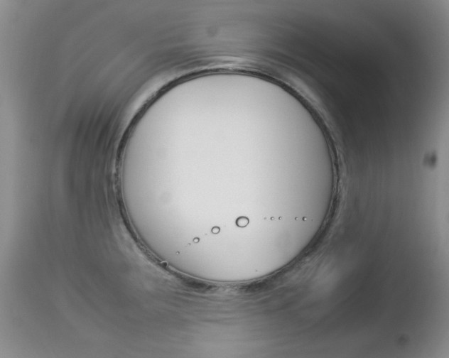 X0000112791283200908210929