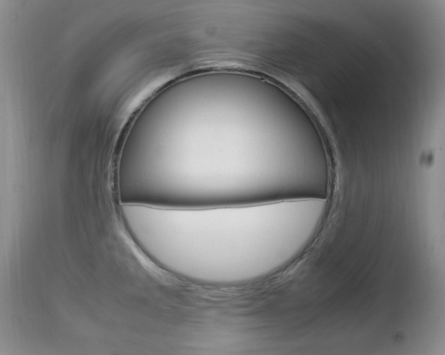 X0000112791285200908210929