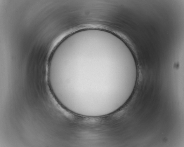 X0000112791286200908210929